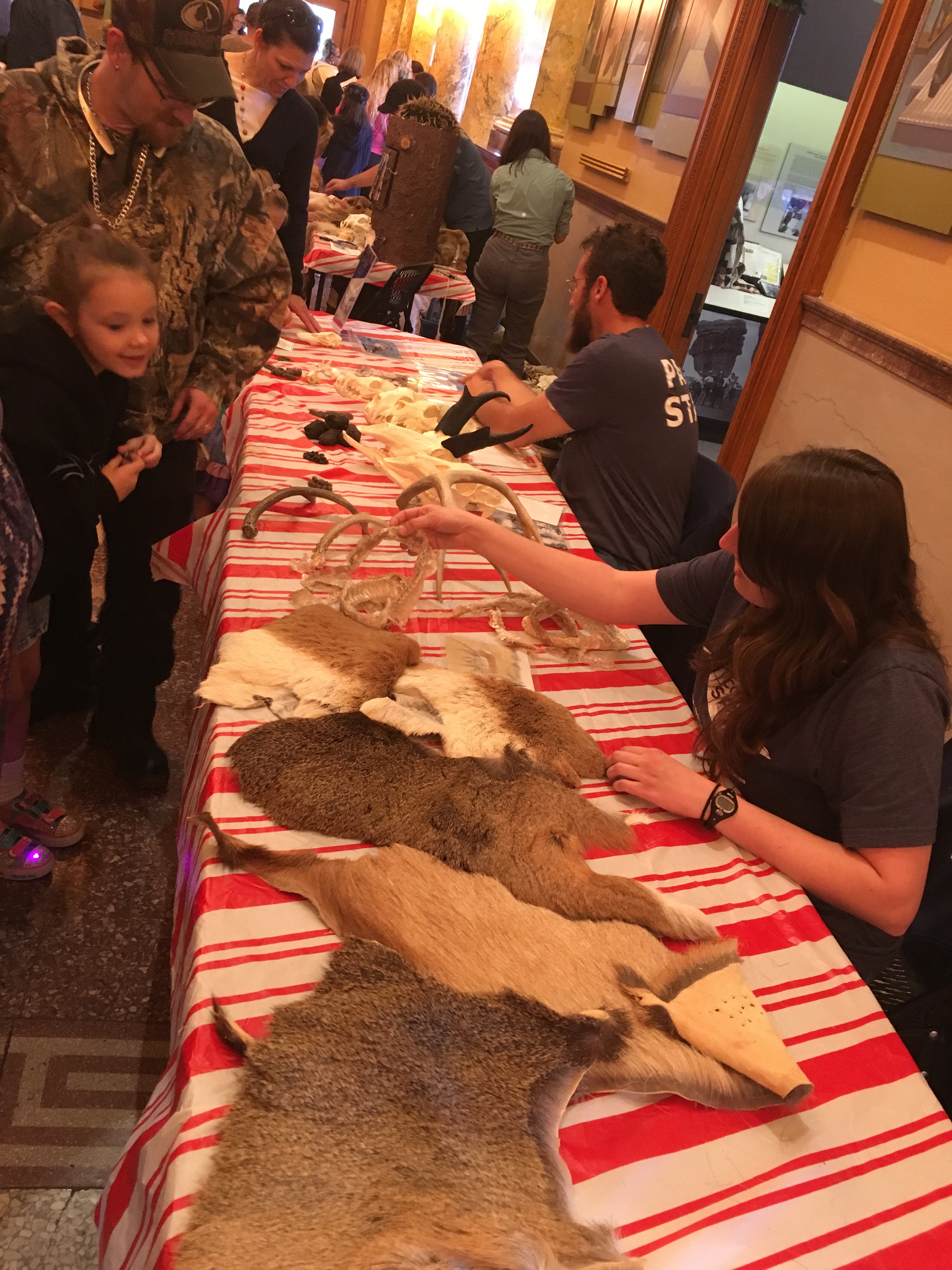 Children gathered around table laden with animal skins and skulls