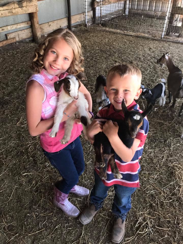 Girl and boy each holding a baby goat