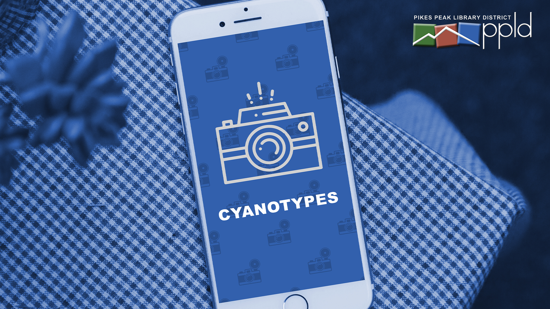 Cyanotypes Promo