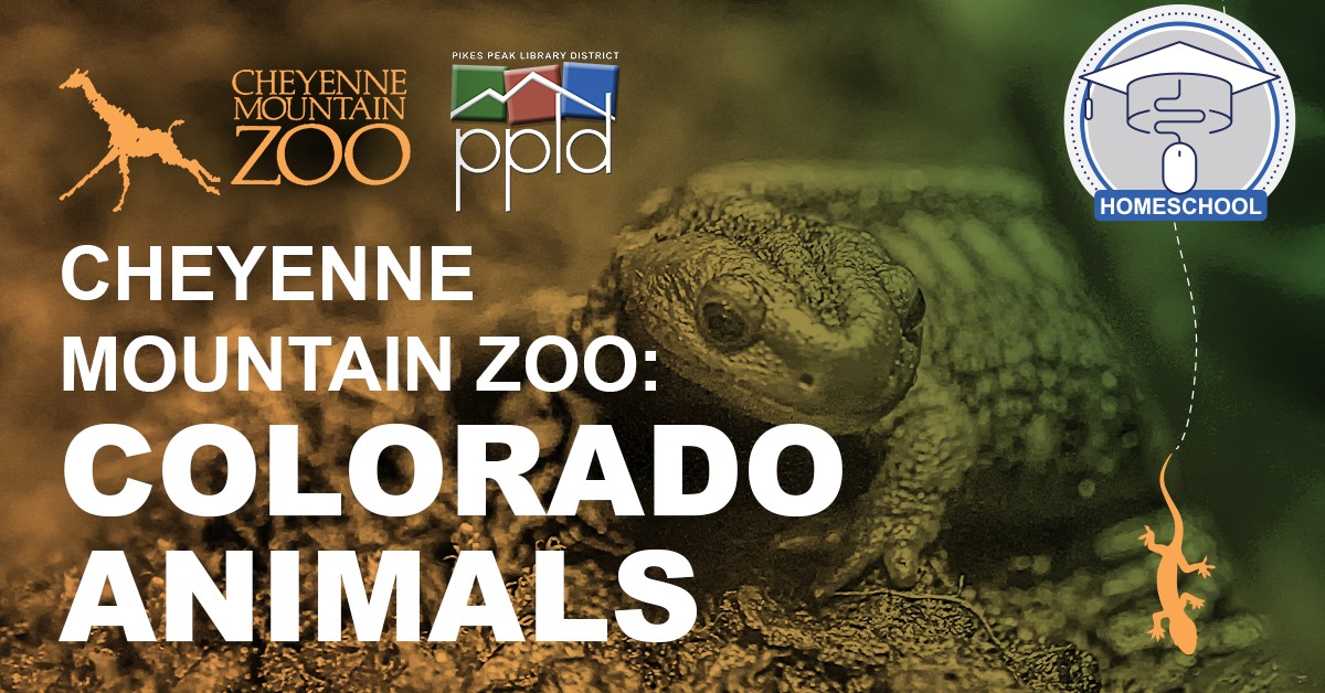 Colorado Animals 