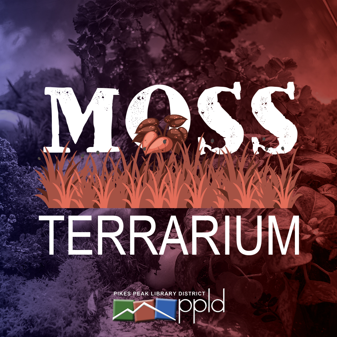 Moss Terrarium
