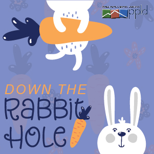 Down the Rabbit Hole with cartoon images of rabbits and carrots