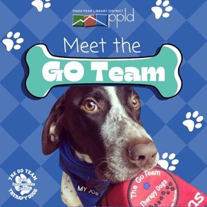 Blue Square Image Covered with Paw Prints containing PPLD Logo and the text stating Meet the Go Team with dog holding toy below.