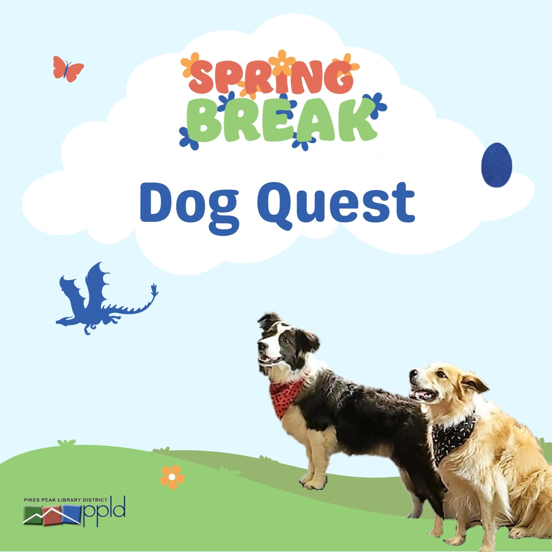 Two border collies stand on an animated hill.  Flowery text above them reads "Spring Break."  Below that, in blue, are the words "Dog Quest."  There is a silhouette of a dragon, which looks like it is flying through the background, on the left side of the image.   