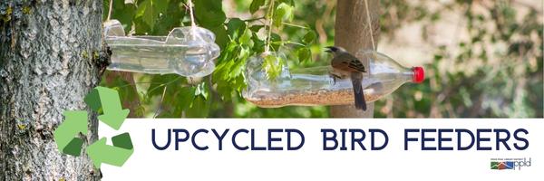 Picture of bird perched on bird feeder. Phrase "Upcycled Bird Feeders" included.
