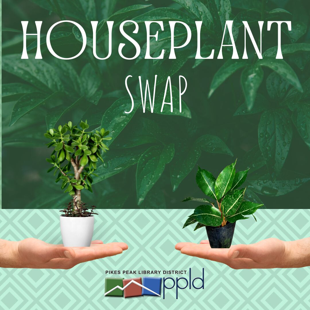 Houseplant Swap