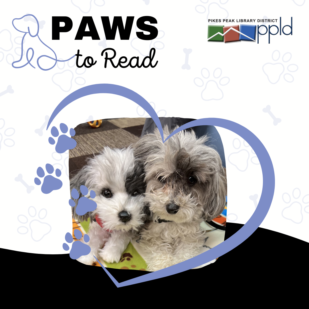 [Image Description] A photo of a small dog sitting next to a stuffed dog toy under a Paws to Read graphic.