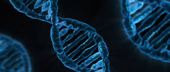 image of DNA strands