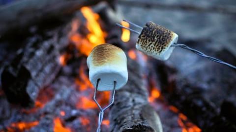 S'mores