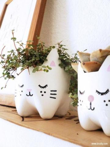 Cat planters