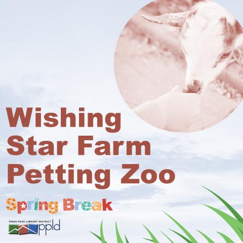 Spring Break Wishing Star Farm Petting Zoo East Library Pikes Peak Library District