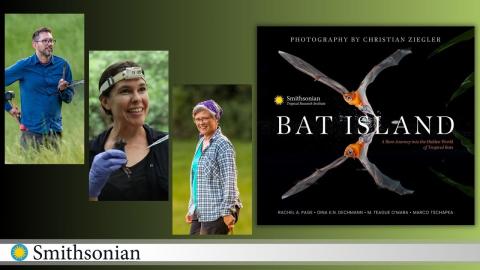 Author images and Bat Island book cover