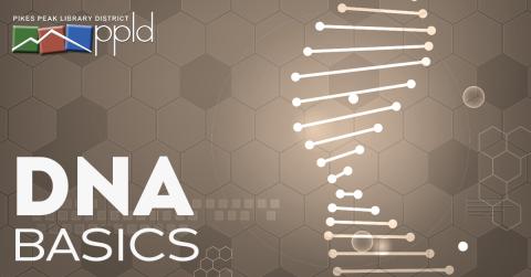 Graphic displaying text "DNA & Genealogy" with a hexagon pattern and a symbolic representation of DNA in the background 