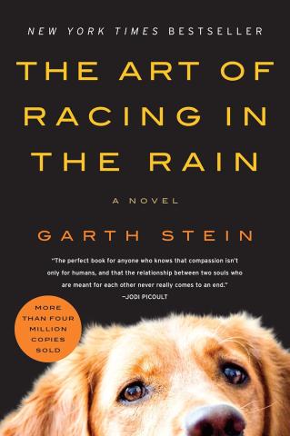 Bold text showing the title of the book, "The Art of Racing in the Rain." Also includes a picture of Enzo, a Golden Retriever and the protagonist/narrator of the novel.  