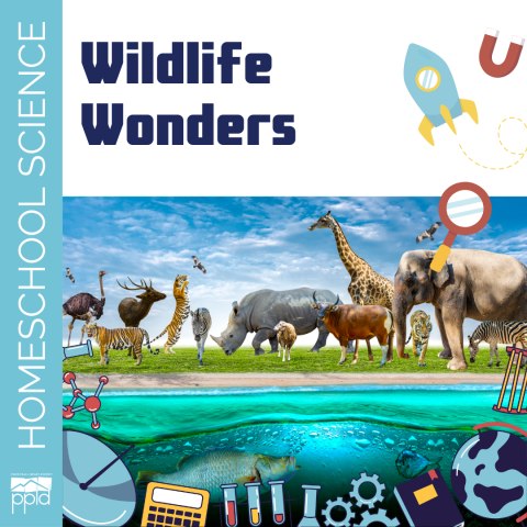 The title Wildlife Wonders is accompanied by a graphic that shows a variety of animals.