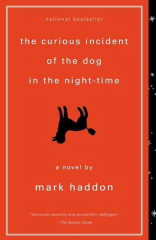 Cover of The Curious Incident of the Dog in the Night-time – Mark Haddon