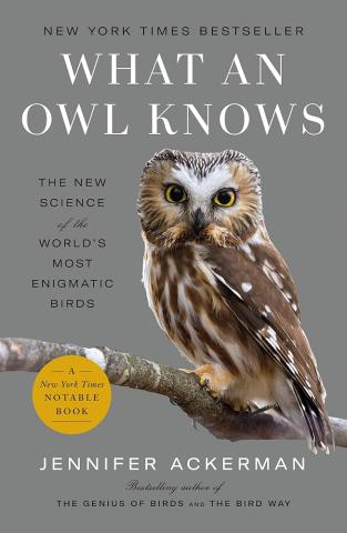 Cover of What an Owl Knows: The New Science of the World’s Most Enigmatic Birds – Jennifer Ackerman