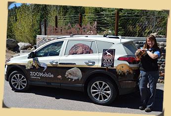 zoomobile