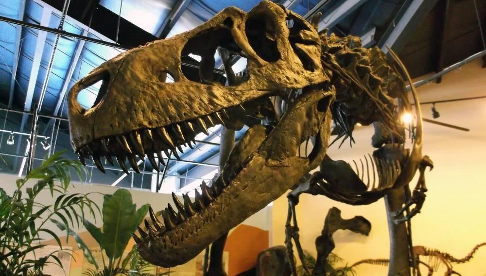 Cretaceous Creatures