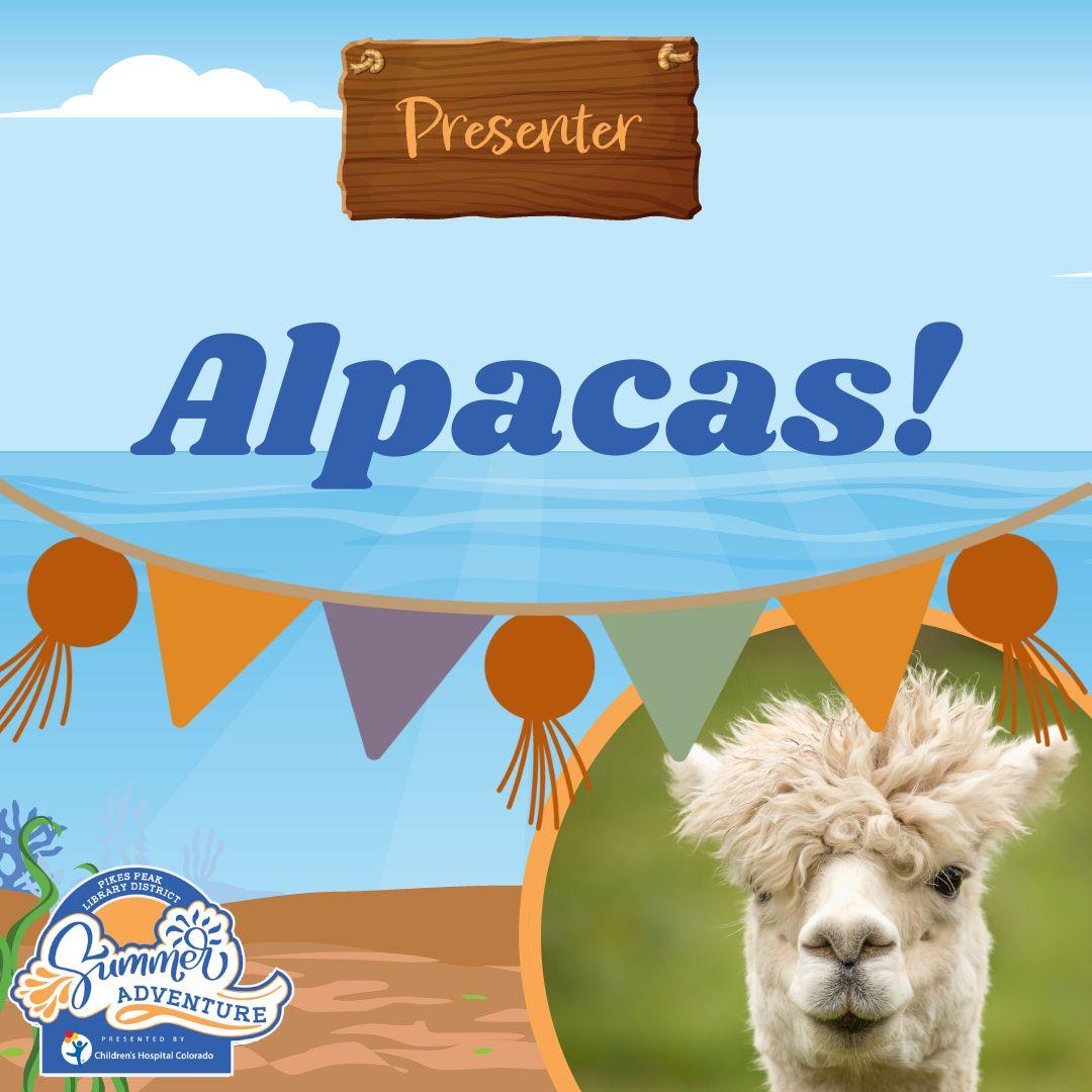 Alpaca