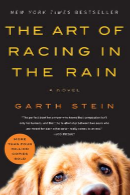 The Art of Racing in the Rain cover