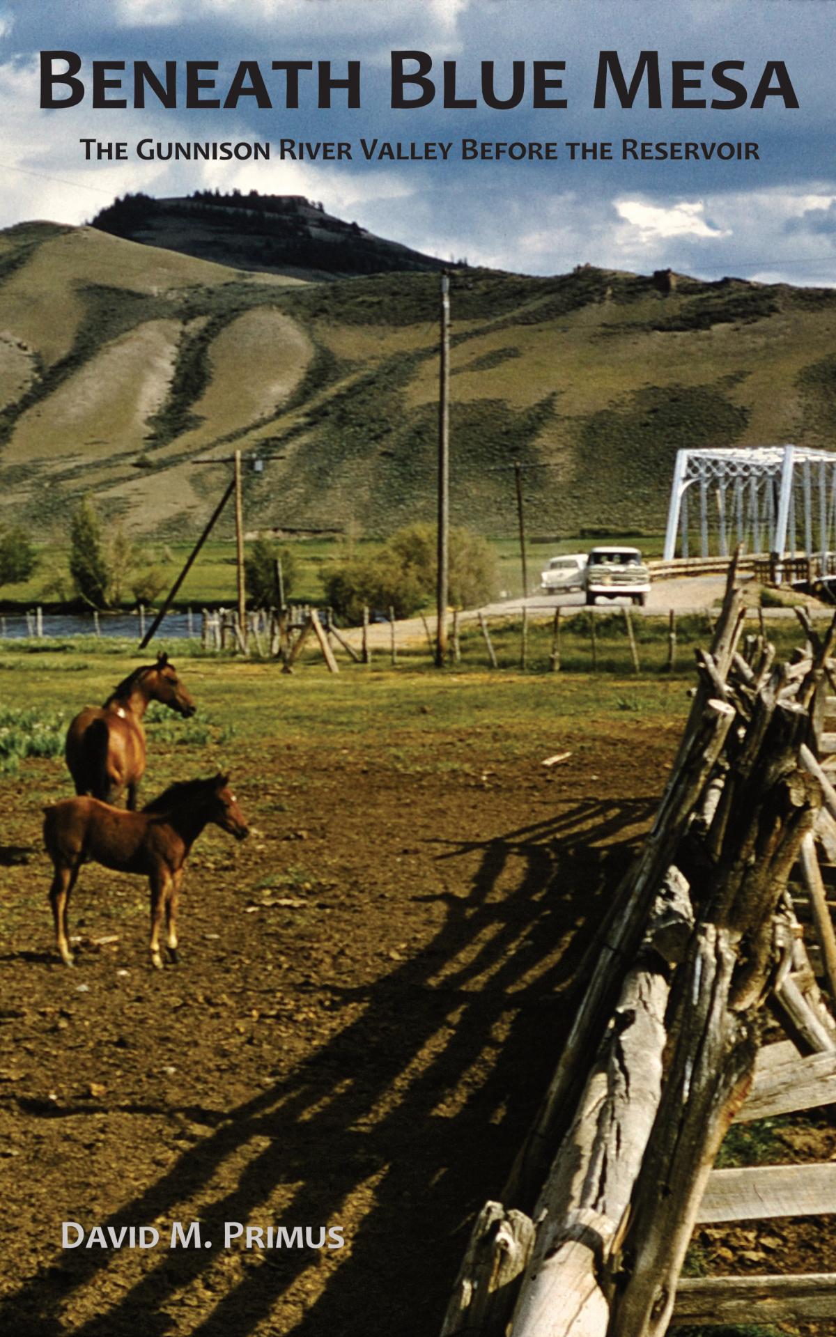 image of book cover with horse and mountains in background