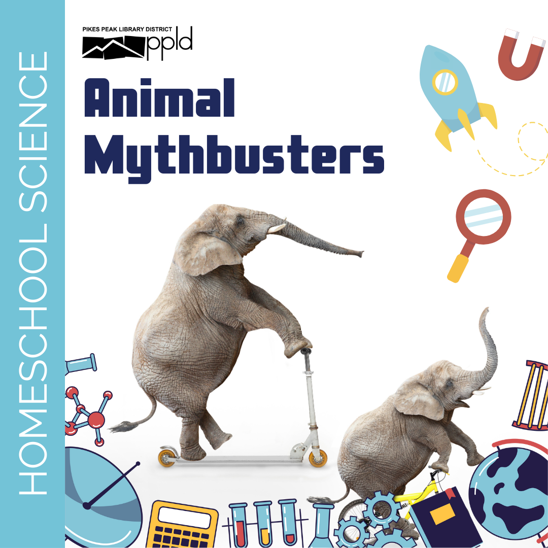 The title, "Homeschool Science: Animal Mythbusters," is set against an image that shows two elephants doing silly things.