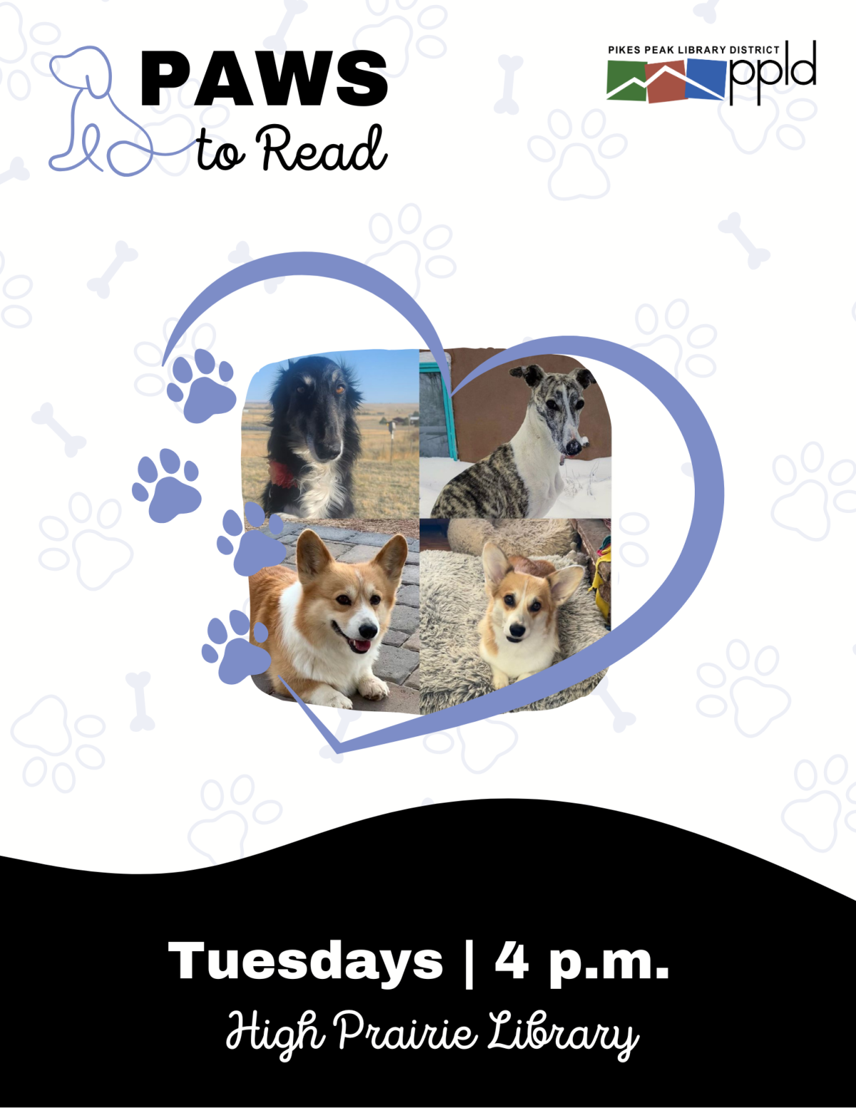 Four cute therapy dogs framed in a blue heart with blue pawprints.