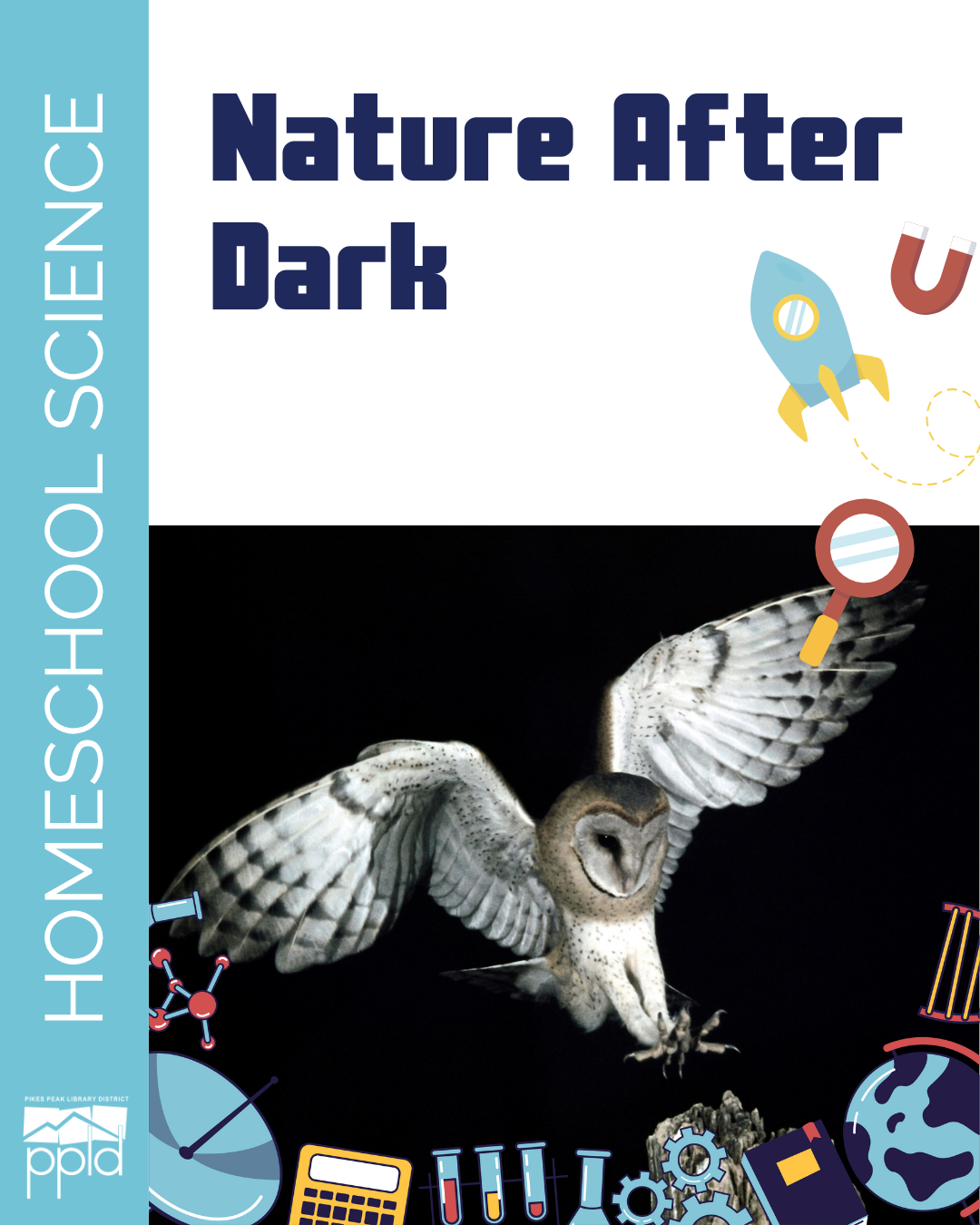 An owl flies across a darkened background and the title reads, "Nature After Dark."